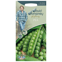 Mr.Fothergill's David Domoney Vegetable Pea Ambassador Seeds Pkt