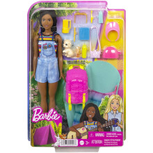 Barbie It Takes Two Camping Brooklyn Doll with Puppy
