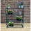 Selections Greenhouse Staging Shelving Racking 4 Tier 2