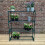 Selections Greenhouse Staging Shelving Racking 4 Tier 3