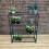 Selections Greenhouse Staging Shelving Racking 4 Tier 4