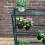 Selections Greenhouse Staging Shelving Racking 4 Tier 5