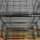 Selections Greenhouse Staging Shelving Racking 4 Tier (Pack of 4) 6