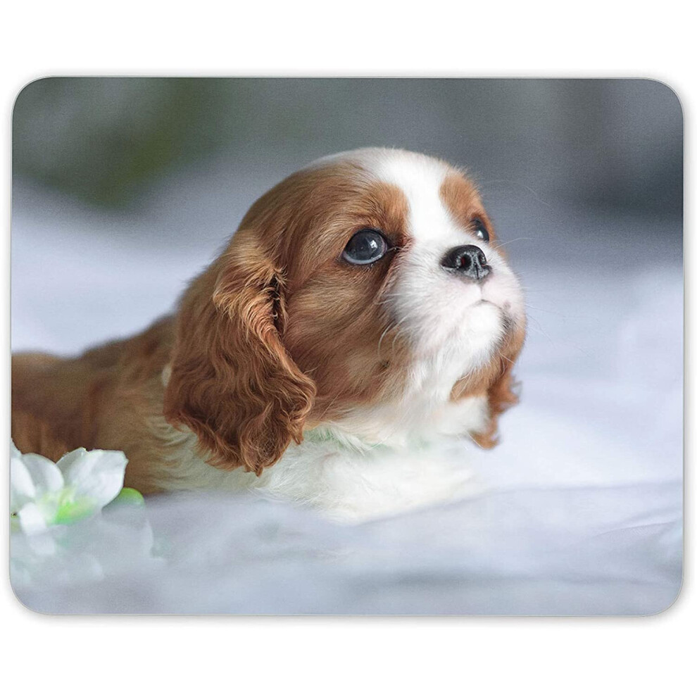 Cavalier King Charles Spaniel Mouse Mat Pad - Puppy Dog Fun Computer #12505 7625936463755