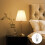 G9 Halogen Light Bulbs 25W, 10 Pack 6