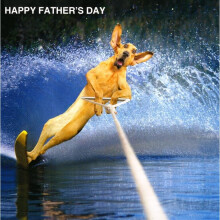 Funny Dog Happy Father's Day Card Square Tracks Greeting Cards