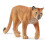 Schleich Schleich 14853 Wild Life Cougar 1