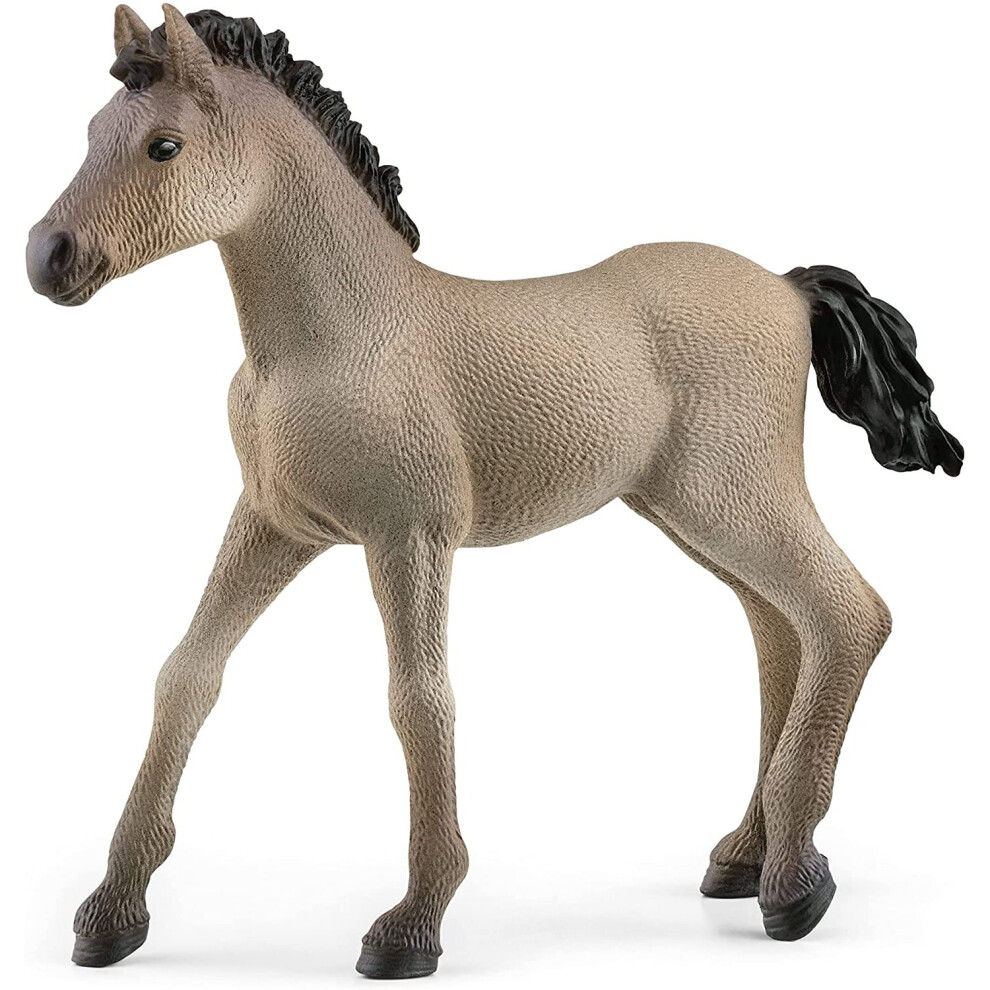 Schleich Horse Club Horses 2022 Realistic Horse Toys For Girls And Boys Criollo Definitivo Foal Baby Horse Figurine Ages 5+
