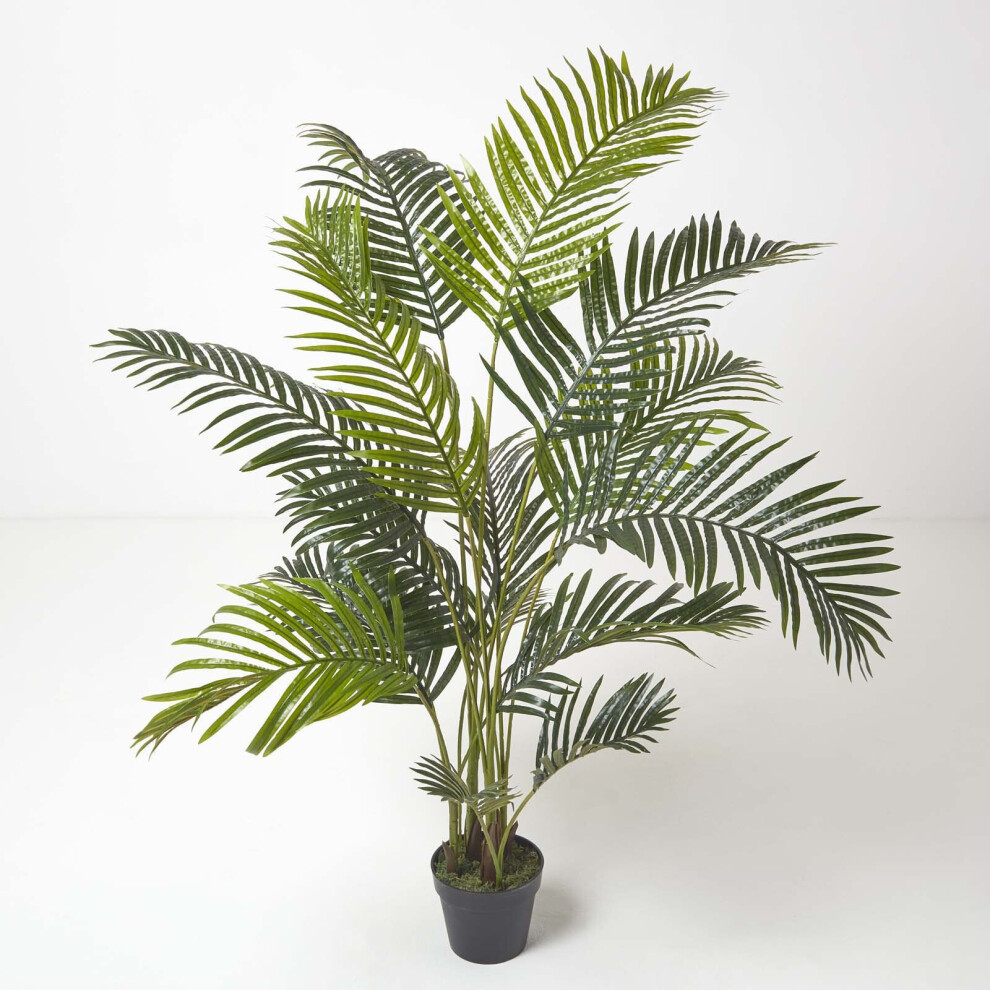 Homescapes (5.2 Ft (160 Cm)) Areca Palm Tree In Pot