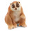 Schleich Slow Loris 1