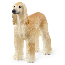Greyhound