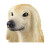 Schleich Greyhound 2