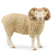 Ram