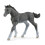 Schleich Schleich Horse Club  Realistic Horse Toys for Girls and Boys  Baby Trakehner Foal Toy Figurine  Ages 5+ 1