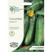 Mr.Fothergill's RHS Grow At Home Vegetable Cucumber Emilie F1 Seeds