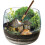 Clementoni Harry Potter - terrarium 1