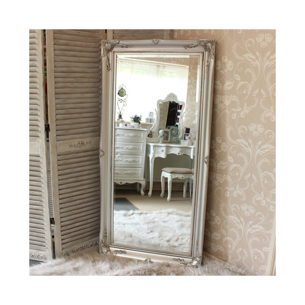 Large Silver Ornate Wall/Floor Mirror 158cm X 78cm