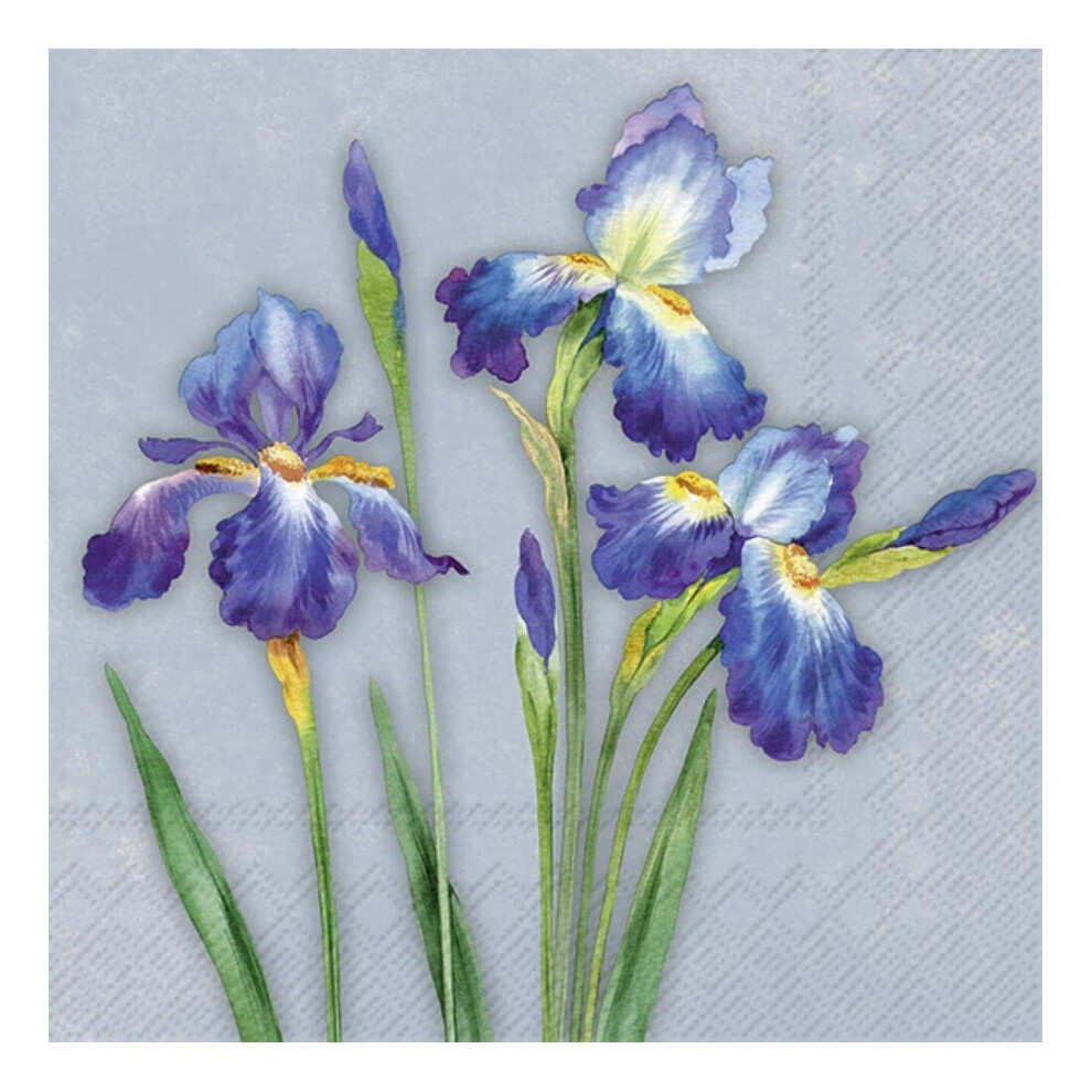 IHR Blue Flowers Spring Print Lunch Paper Napkins 20-Pack Disposable 3-Ply