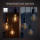 Philips Philips Hue White Filament Regular ST64 LED Smart Light Bulb 1 Pack [E27 Edison Screw] , with Bluetooth, Works with Alexa, Google Assistant and Apple 4