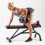 HXGN Weight Bench Adjustable Flat Incline Decline Gym Lifting Workout 7