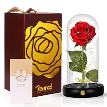 Beauty and The Beast Rose Kit, Enchanted Red Silk Rose Forever Flower LED Light in Glass Dome Wooden Base Romantic Gifts for Birthday Wedding Annivers