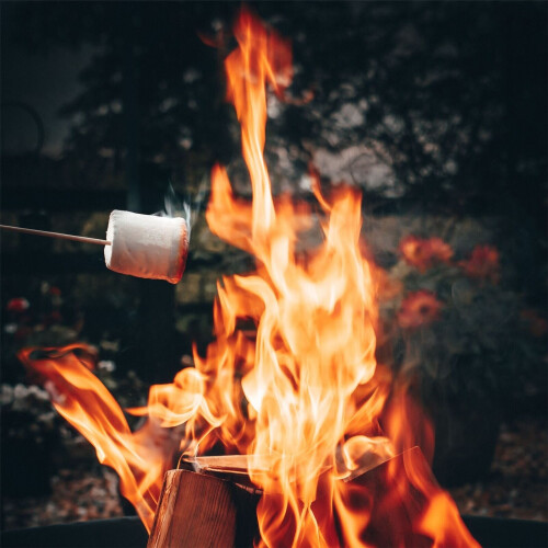 Modern 60cm Round Fire Bowl Fire Pit BBQ Outdoor Camping Barbecue 2