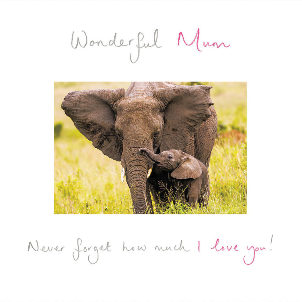 Wonderful Mum Cute Elephants Mother's Day Greeting Card Mothers Day Cards