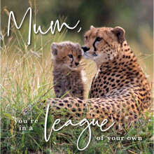 Mum You're In A League Of Your Own Mother's Day Card Photo Finish Cards