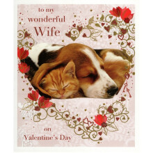 Wonderful Wife Dog & Cat Valentine's Greeting Card Beautiful Valentines Cards