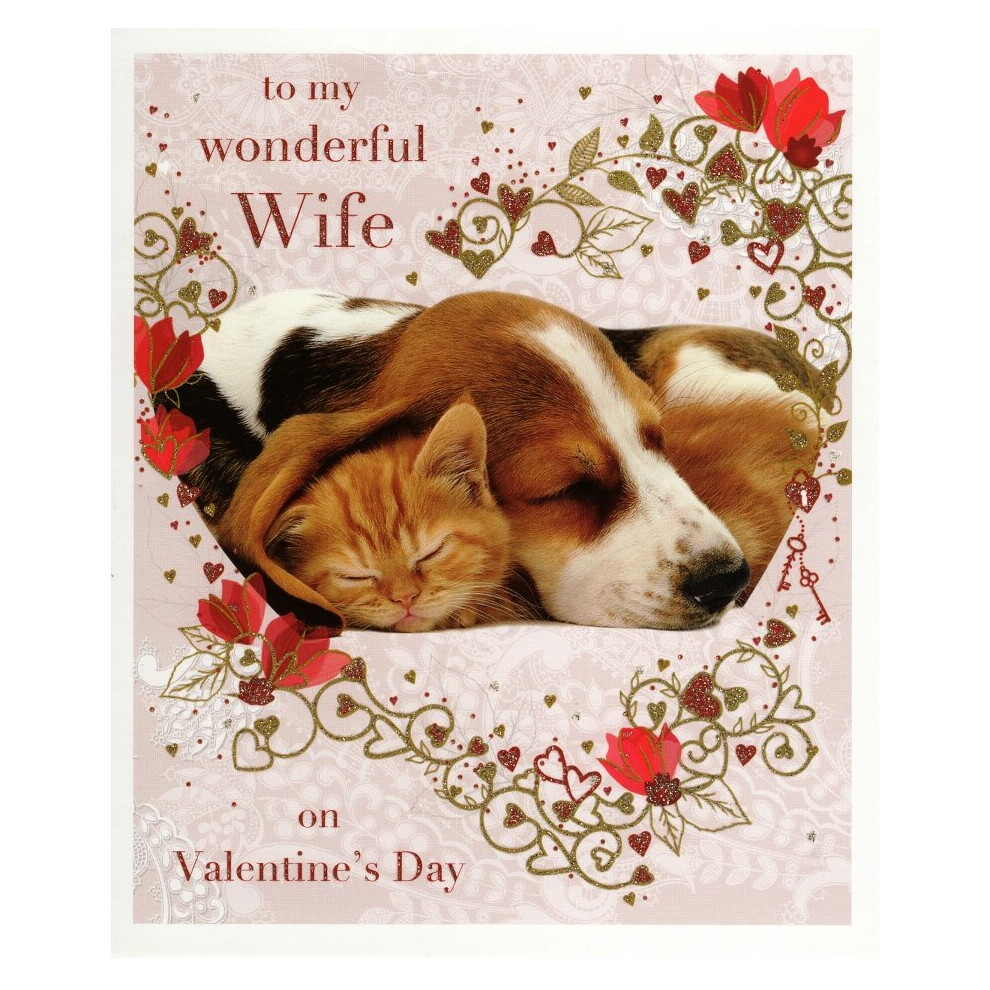 Wonderful Wife Dog & Cat Valentine's Greeting Card Beautiful Valentines Cards