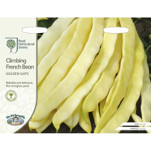 Mr Fothergill's Vegetables Climbing French Bean Golden Gate Seeds