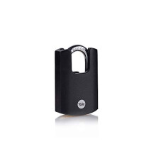 Yale Y121B/40/125/1 Brass Closed Shackle Padlock (40 mm) - Black Outdoor Weatherproof Lock for Chain, Door, Gate, Toolbox - 3 Keys - High Security