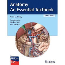 Anatomy  An Essential Textbook Thieme Illustrated Reviews