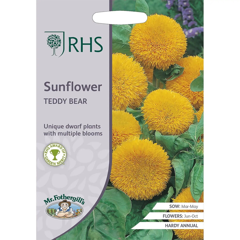 Mr Fothergill's Grow Your Own Edible Flowers Sunflower Teddy Bear Seed
