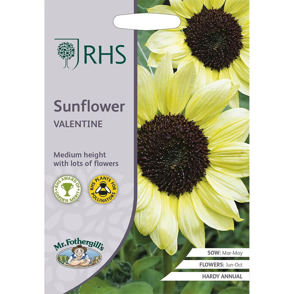 Mr Fothergill's Grow Your Own Edible Flowers Sunflower Valentine Seeds