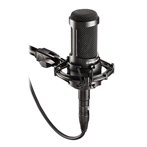 Audio-Technica Audio-Technica 20 Series AT2035 Cardioid Condenser Side Address Microphone