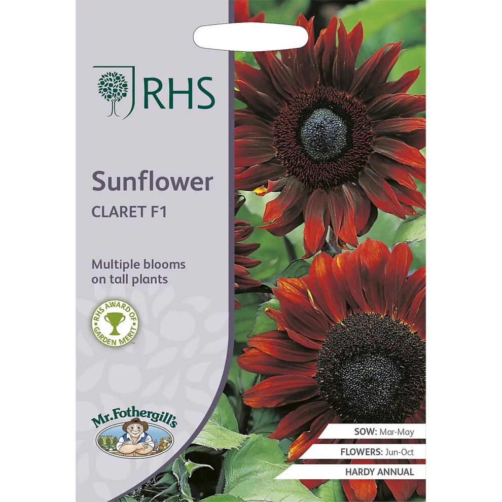 Mr Fothergill's Grow Your Own Edible Flowers Sunflower Claret F1 Seeds