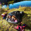 Gymax Double Sleeping Bag 4 Seasons Lightweight Camping Bag w/2 Pillows 8