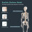 Gymax Human Anatomical Skeleton Model Medical Professional Teach & Learn 5