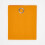 Homescapes (W 137cm x Drop 228 cm, Orange) Plain Cotton Eyelet Curtains 3