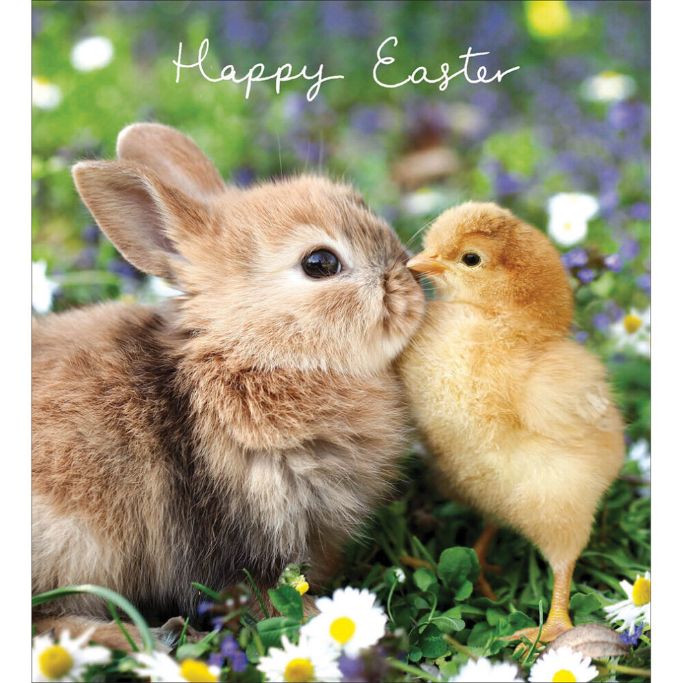 Pack of 5 Cute Bunny & Chick Easter Greetings Cards In Same Mini Card Design