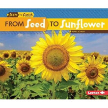 From Seed to Sunflower Start to Finish, Second