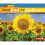 From Seed to Sunflower Start to Finish, Second 1