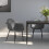 VidaXL vidaXL 2x Dining Chairs Grey PP Home Kitchen Dining Room Dinner Chair Seating 1