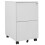 VidaXL vidaXL Aktenschrank mit Rollen Hellgrau 39x45x67 cm Stahl 1