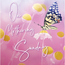 On Mothering Sunday Mother's Day Card Photo Finish Cards
