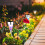 6 PACK SOLAR POWERED MOSAIC STAKE LIGHTS GARDEN BORDER LANTERNS 8