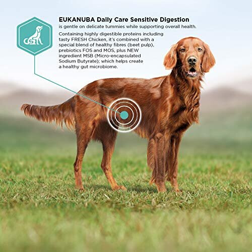 Eukanuba EUKANUBA Daily Sensitive Digestion torrfoder för hundar 12 kg 2