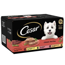Cesar Classics Terrine - Wet Dog Food for Adult Dogs 1+ Mixed Selection in Jelly, 24 Trays (24 x 150 g)