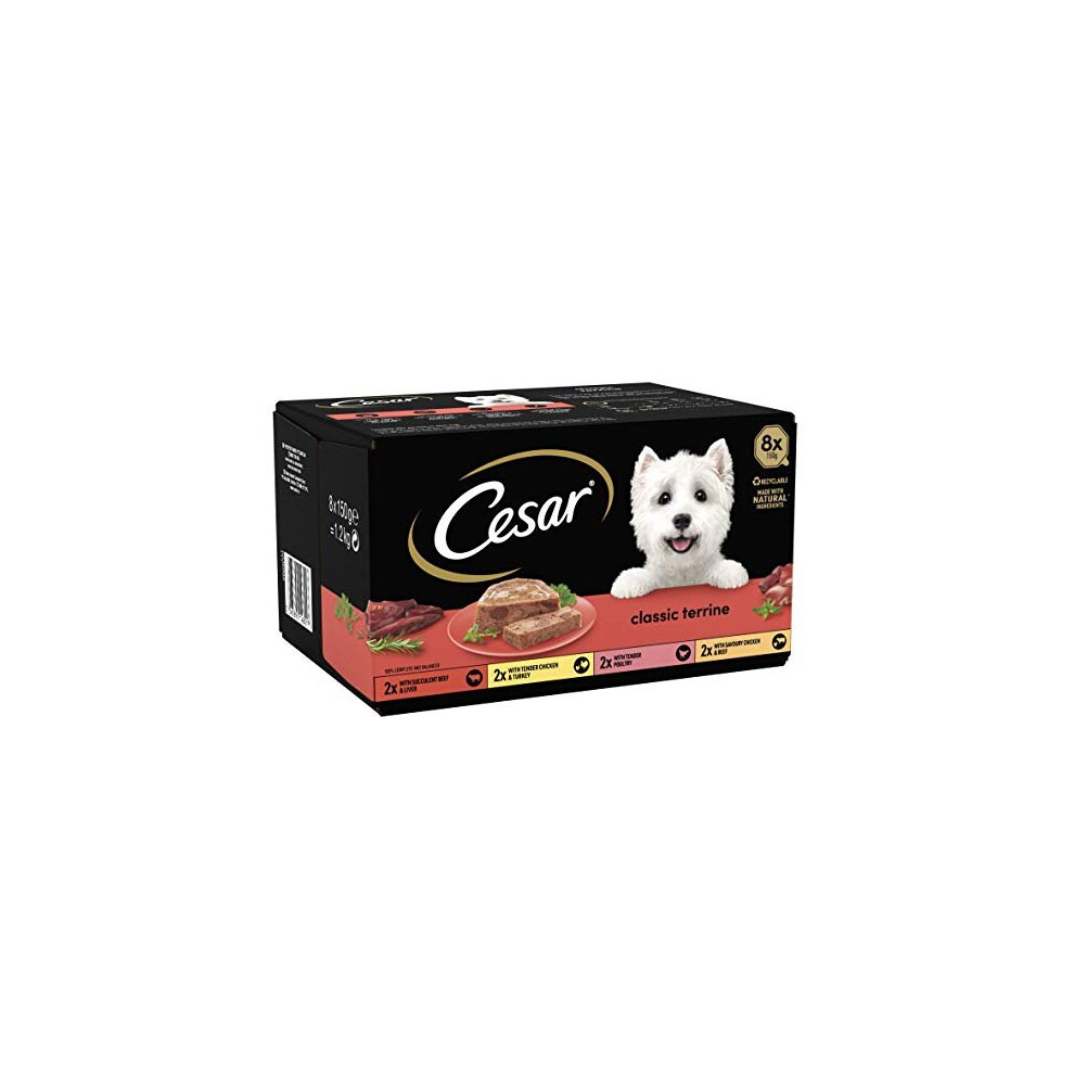 Cesar Classics Terrine - Wet Dog Food for Adult Dogs 1+ Mixed Selection in Jelly, 24 Trays (24 x 150 g)